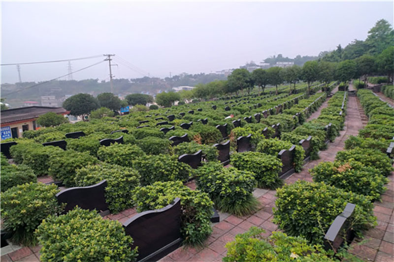 购买墓地后可以永久使用吗