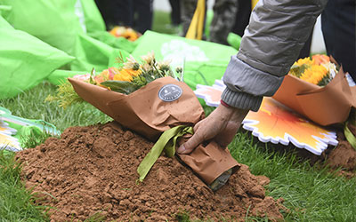 生态葬大概需要多少钱？生态葬需要什么手续？