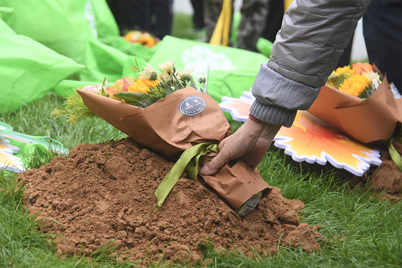 生态葬大概需要多少钱？生态葬需要什么手续？