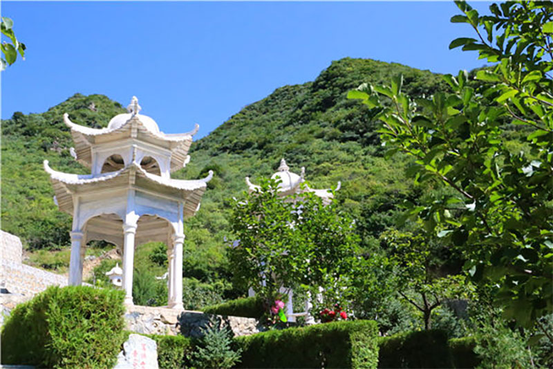 树葬有什么讲究?树选什么树比较好? 树葬有什么讲究?树选什么树比较好?