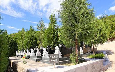 墓地石狮子的好处与讲究有哪些？