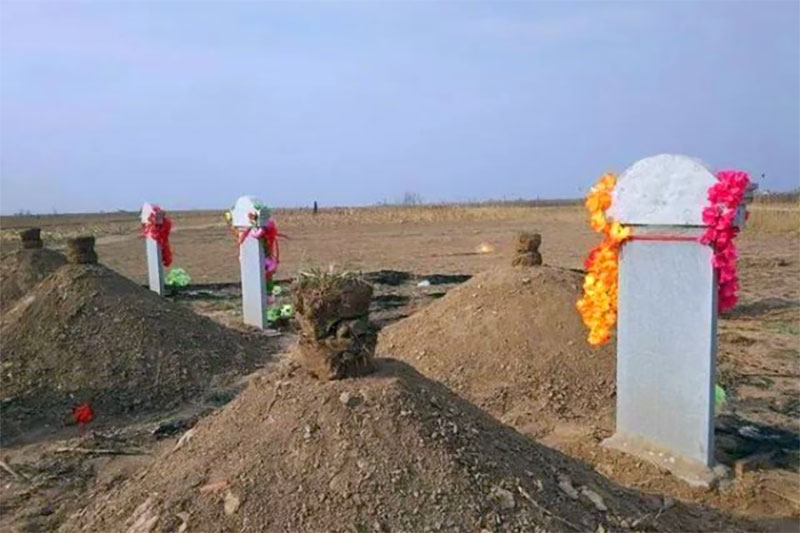 重新开始土葬对殡葬行业的影响是什么