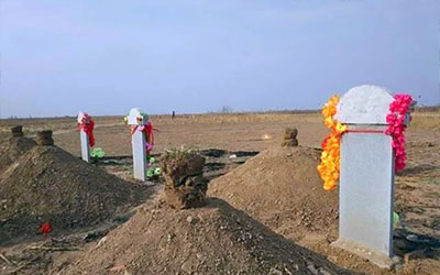 重新开始土葬对殡葬行业的影响是什么？