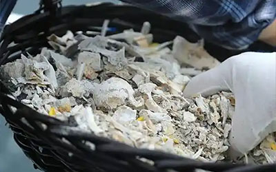 什么是骨灰？多年后骨灰会变成什么？