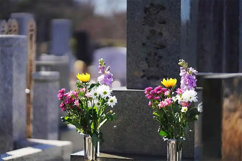 墓前石狮子:守护亡魂,传承千古的文化印记 墓前石狮子:守护亡魂,传承千古的文化印记