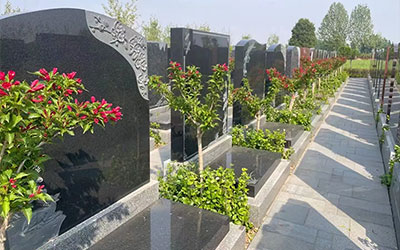 不容忽视！迁坟判定的关键要素与影响