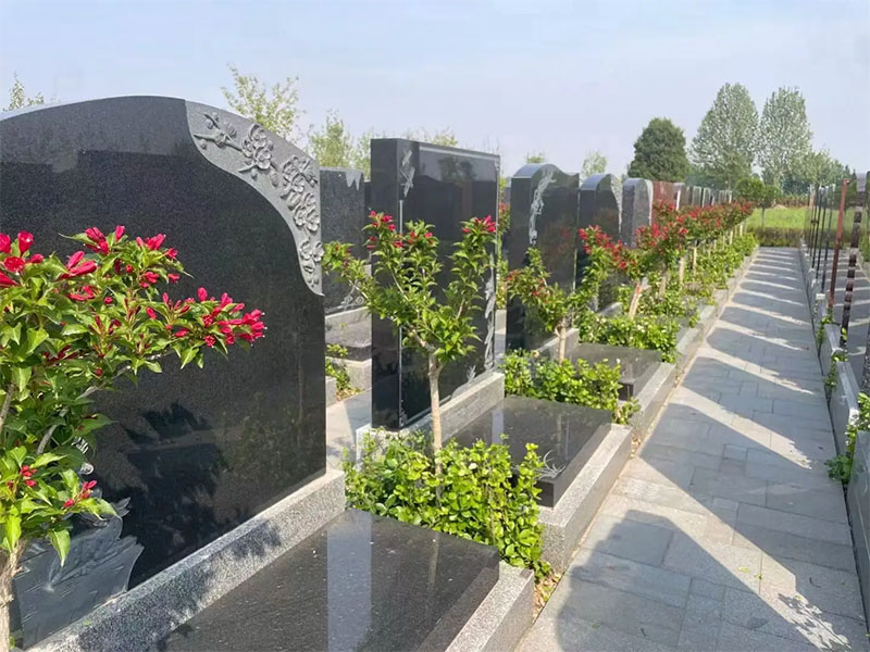 不容忽视!迁坟判定的关键要素与影响 不容忽视!迁坟判定的关键要素与影响