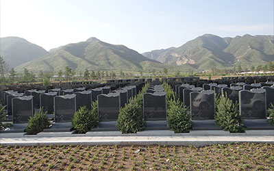 公墓使用期限：破除“20年之惑”