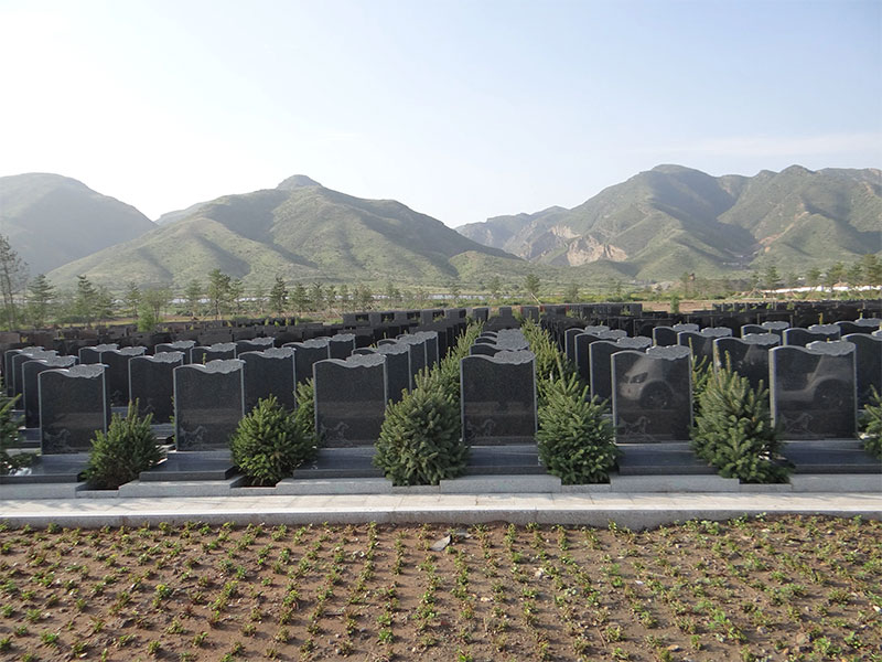 公墓使用期限:破除20年之惑 公墓使用期限:破除20年之惑