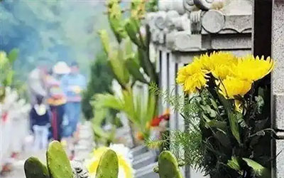 敬祖孝宗，家族繁荣之基