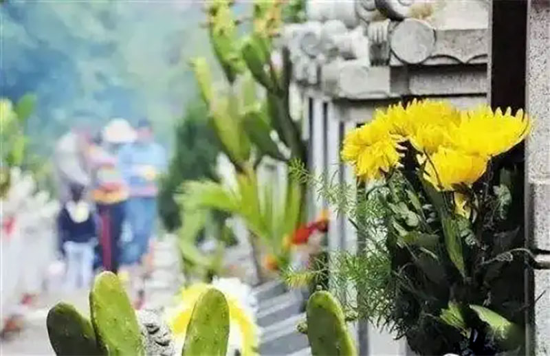 敬祖孝宗，家族繁荣之基