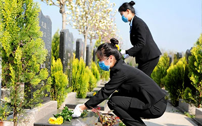 扫墓时的礼仪与禁忌：尊重与缅怀先人的正确方式