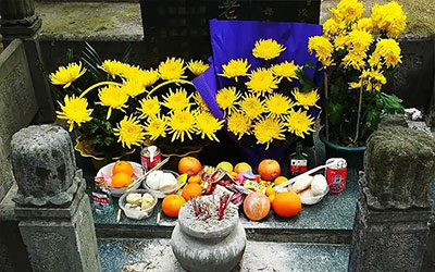 文明祭祖，传承与敬畏同在