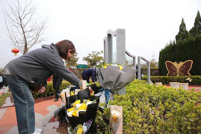 树葬和海葬该怎么选择