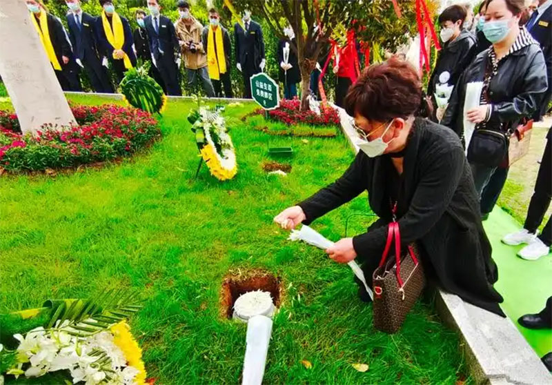 生命的绿洲：树葬——回归自然的诗意安息