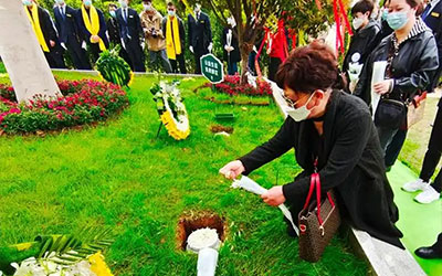 生命的绿洲：树葬——回归自然的诗意安息