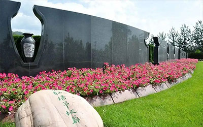 生态葬：绿色悼念，回归自然