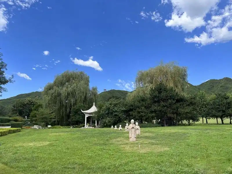 生命终点的抉择:树葬与海葬,你会选择哪一种? 生命终点的抉择:树葬与海葬,你会选择哪一种?