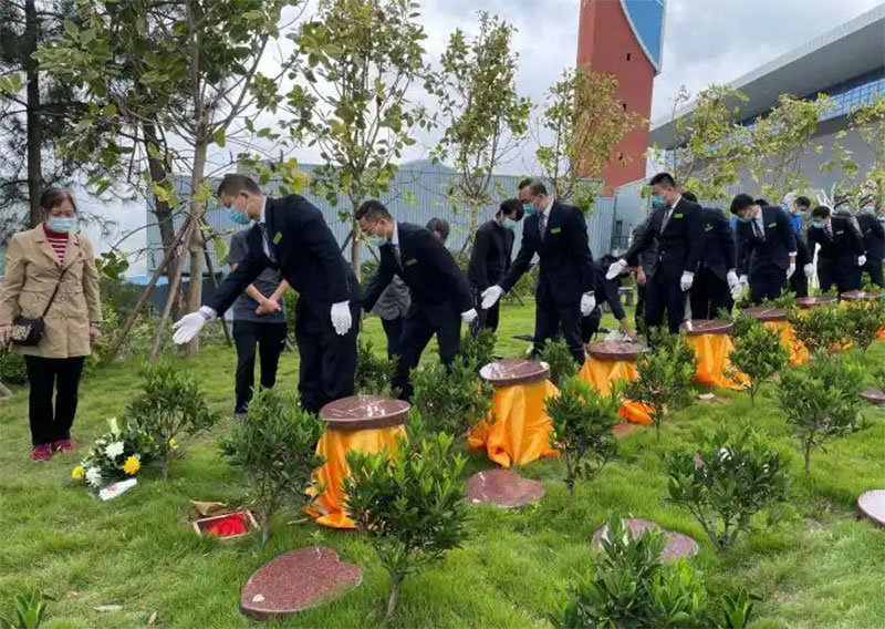 清明节快到了,树葬该如何祭扫呢 清明节快到了,树葬该如何祭扫呢