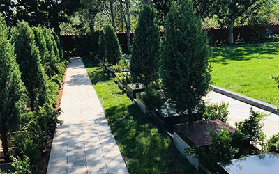 树葬是如今比较流行的安葬形式，那么树葬有哪些优势？