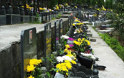 清明节祭扫十大注意事项注意事项