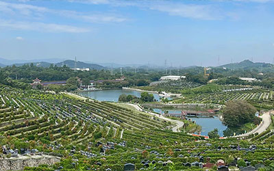 探寻生命尽头的归处：不保留骨灰的生态葬全知晓