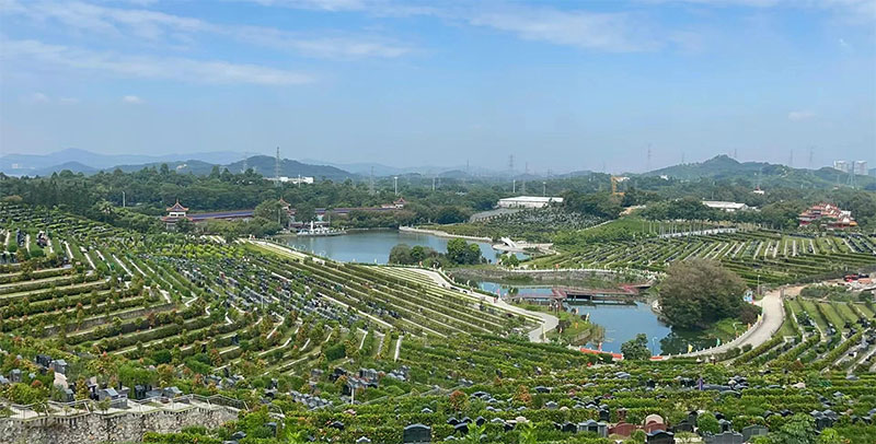 探寻生命尽头的归处:不保留骨灰的生态葬全知晓 探寻生命尽头的归处:不保留骨灰的生态葬全知晓