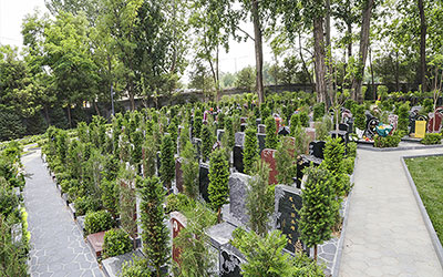 选择生态葬有哪些优势？