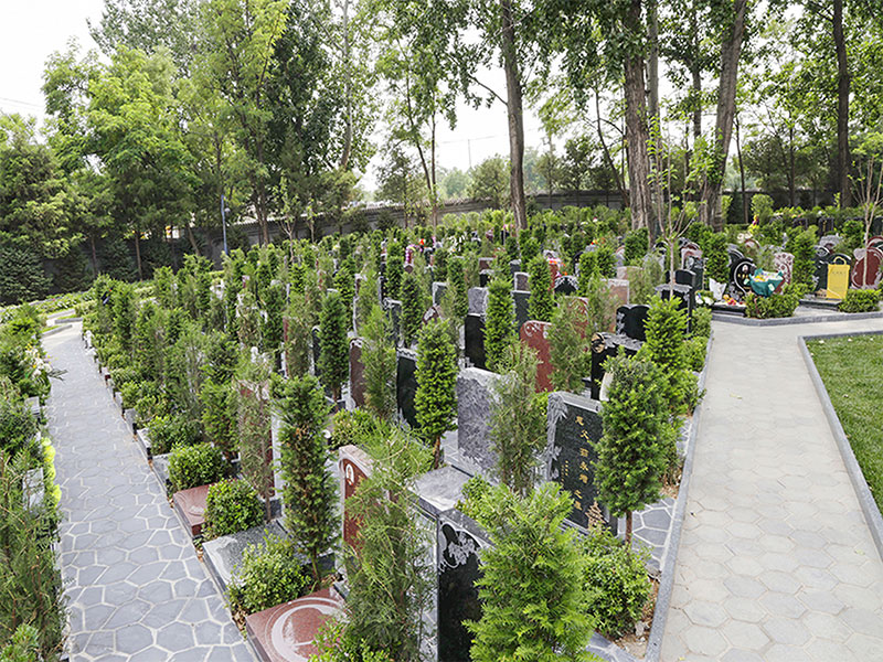 选择生态葬有哪些优势