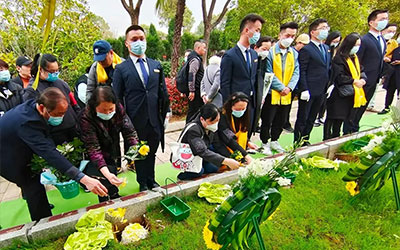 生态葬与传统墓葬相比有哪些优势？