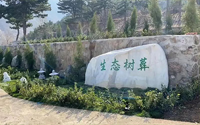 节地生态安葬的主要形式