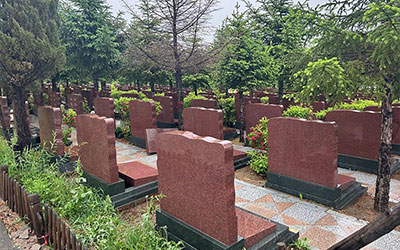 生态葬：七种环保安葬方式详解