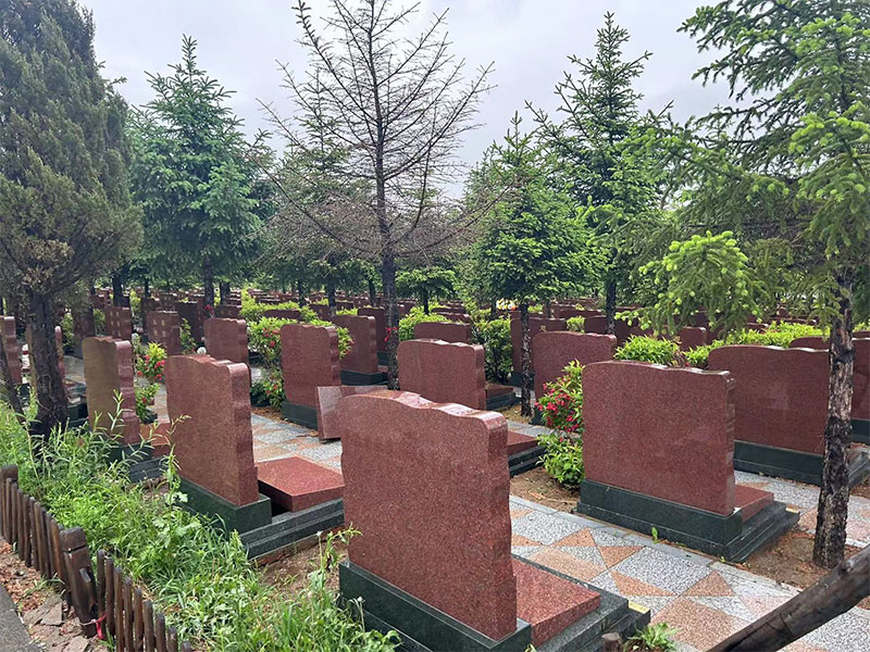 生态葬：七种环保安葬方式详解