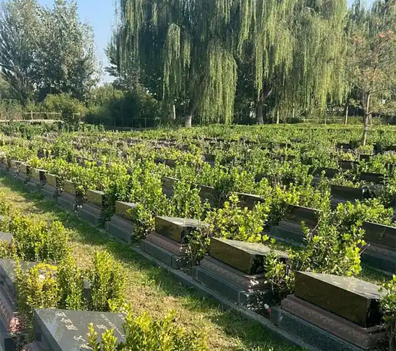 探索生态节地葬的多种形式