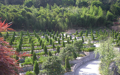 生态葬后如何祭扫？有哪些纪念方式？