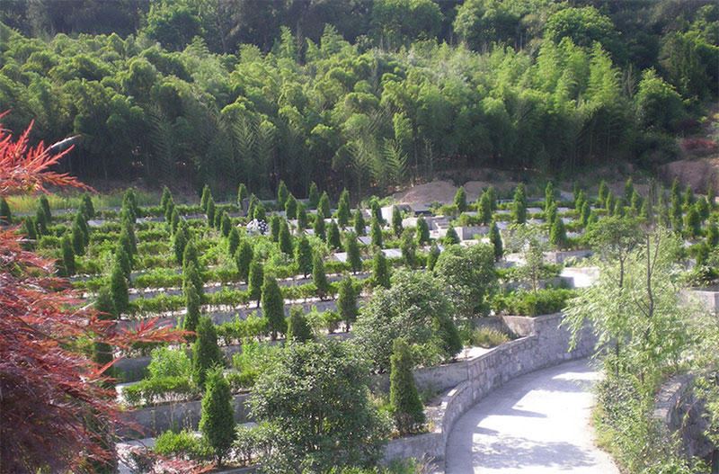 生态葬后如何祭扫?有哪些纪念方式? 生态葬后如何祭扫?有哪些纪念方式?