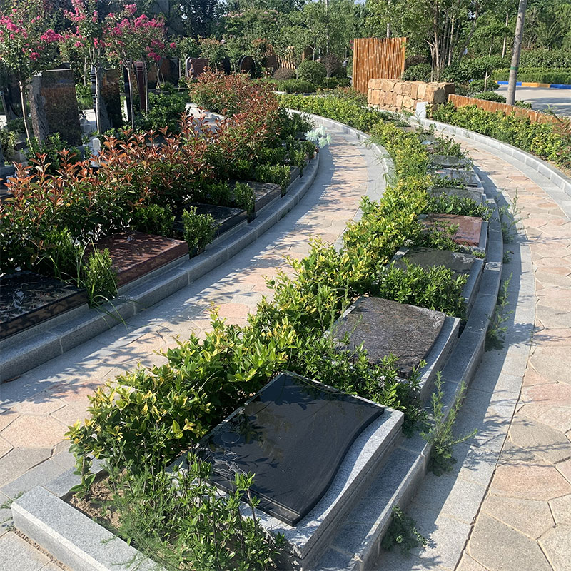 树葬：与大自然共生的永恒之选