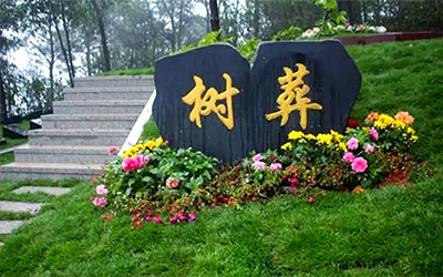 树葬：与自然共生的独特葬仪