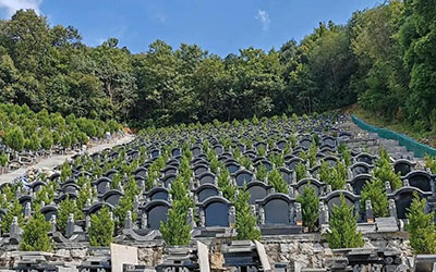 墓地风水禁忌与重要方位详解