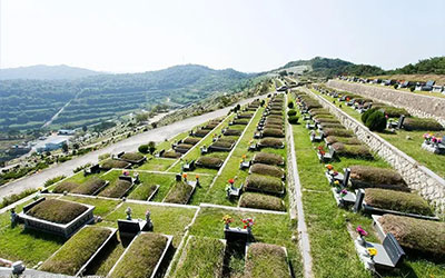 什么是节地生态葬？节地生态葬包括哪些葬式？