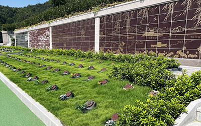 生态葬有哪些埋葬方式？树葬、壁葬、草坪葬是什么样的埋葬方式？