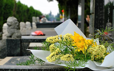 昆明墓园祭扫指南，缅怀先人，文明祭扫