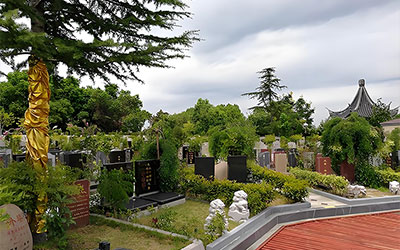 在昆明陵园公墓无人续费、无人祭扫的墓位都如何处理？