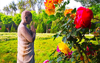 购买昆明墓地后可以更换墓地位置吗？