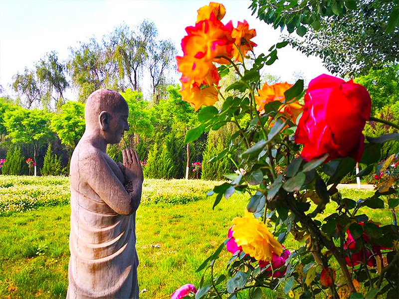 购买昆明墓地后可以更换墓地位置吗 购买昆明墓地后可以更换墓地位置吗