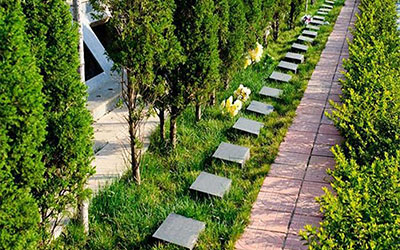 昆明2025树葬新政策——什么是树葬？树葬是怎样的葬法？