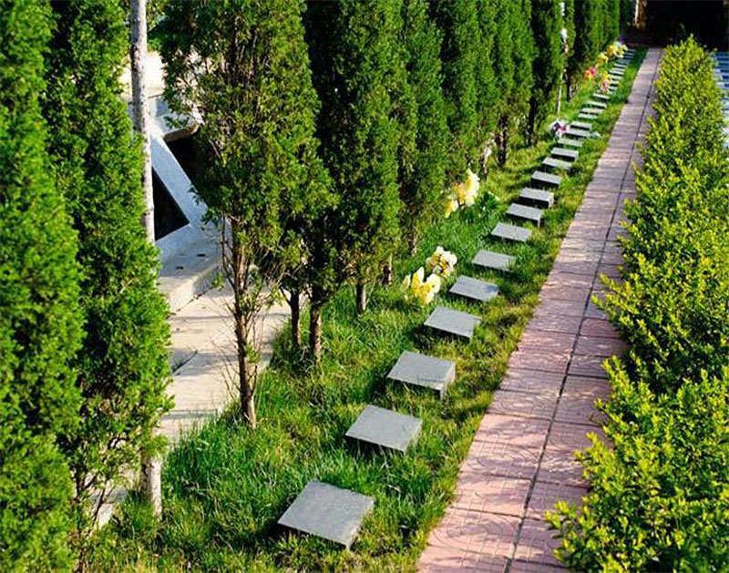 昆明2025树葬新政策——什么是树葬？树葬是怎样的葬法？