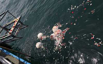 昆明海葬需要准备哪些材料？