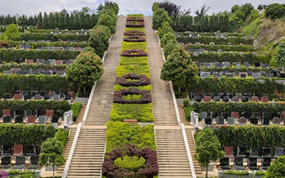 昆明墓地管理费的收费标准有哪些？