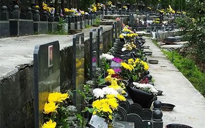 扫墓新风尚与文化冷知识